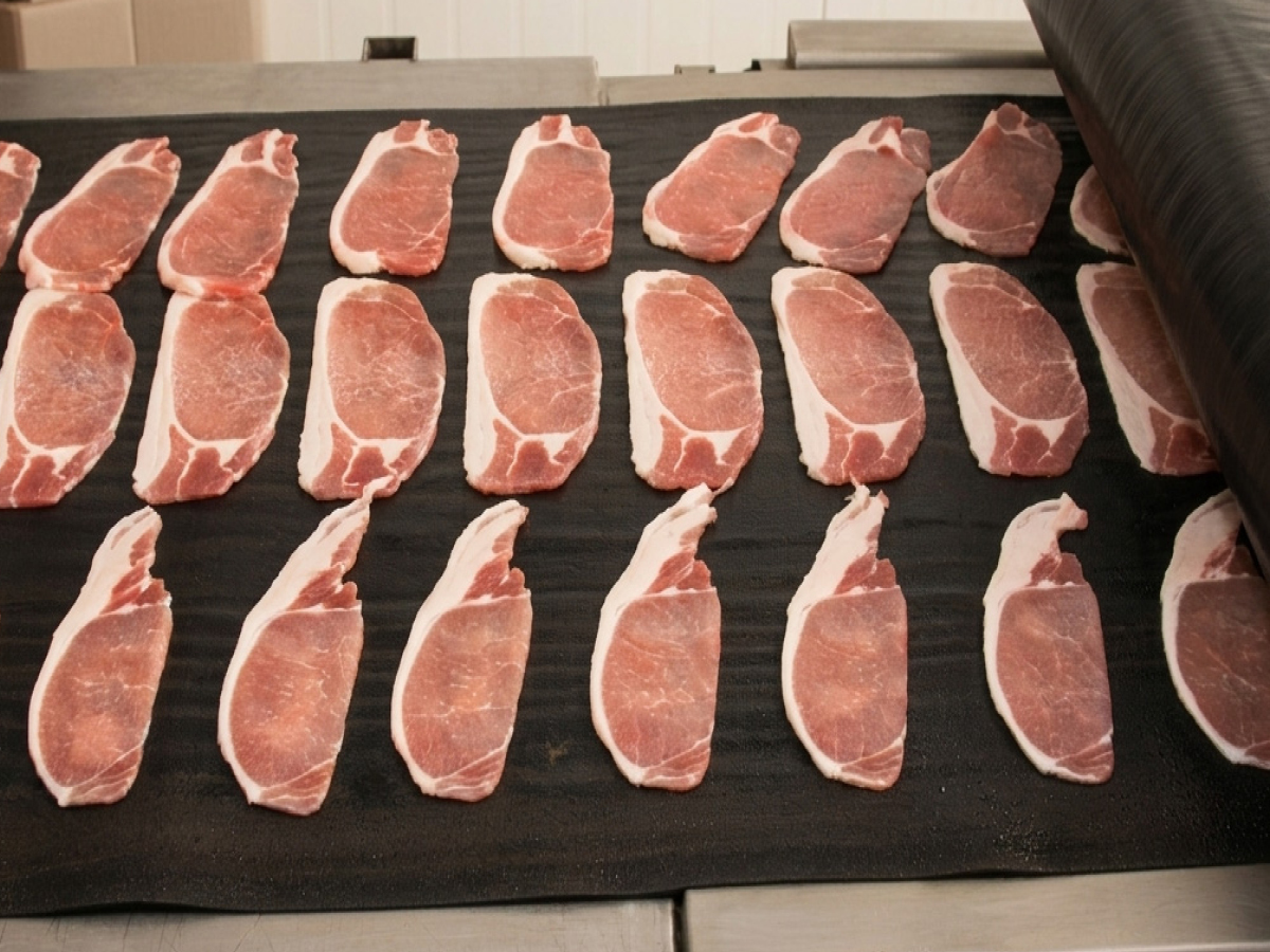Taconic PTFE nonstick contact grilling belt for food processing applications